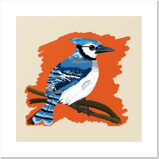 Midwest Blue Jay over a Bright Background Posters and Art